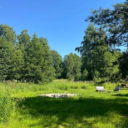 Moor Korjuse